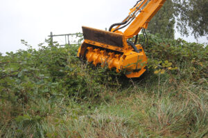 Bosbouw