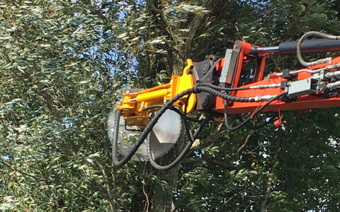 Herder-Einfachkreissage-IMG_7884_900px